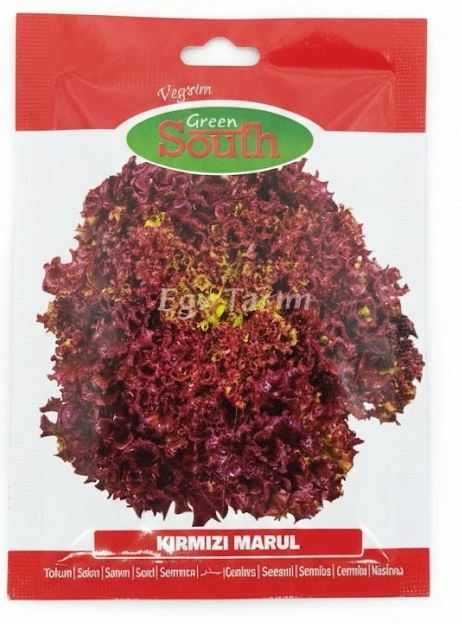 Green South Kırmızı Kıvırcık (Lollo Rosso) Marul Tohumu 2 gr - Dekoratif ve Lezzetli