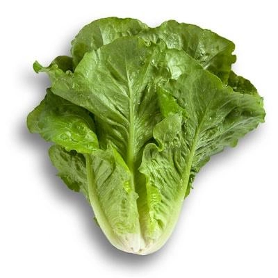 Green South Yedikule (Romaine) Marul Tohumu 3 gr - Gevrek, Dik Yapraklı ve Lezzetli