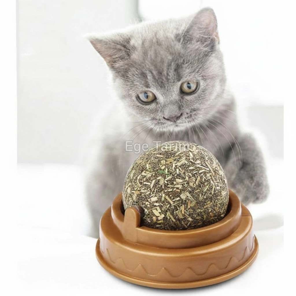 Dönen Kedi Nanesi Oyun Topu (Duvara Yapışabilen Doğal Catnip & Diş Temizleyici)