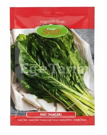 Green South Pazı (Yaprak Pancar) Tohumu 10 gr - Geniş Yapraklı ve Verimli