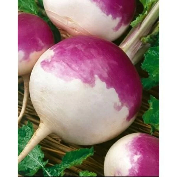 Akgen Şalgam Turpu Tohumu 5 gr 