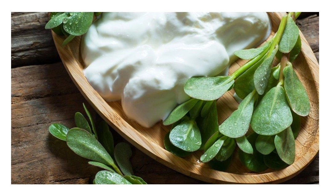 Green South Geniş Yapraklı Semizotu Tohumu 5 gr 