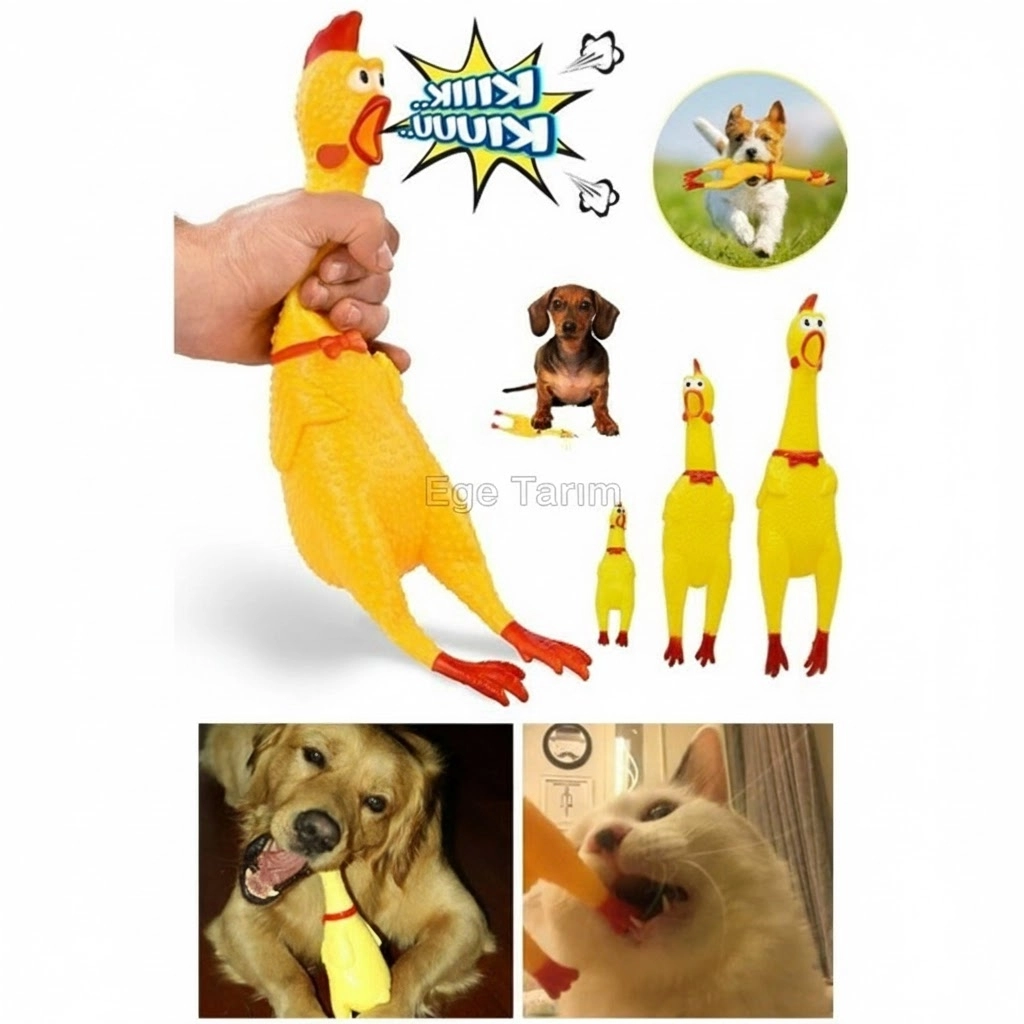Ses Çıkaran Tavuk Kedi Köpek Oyuncağı (16 cm - Küçük Boy)