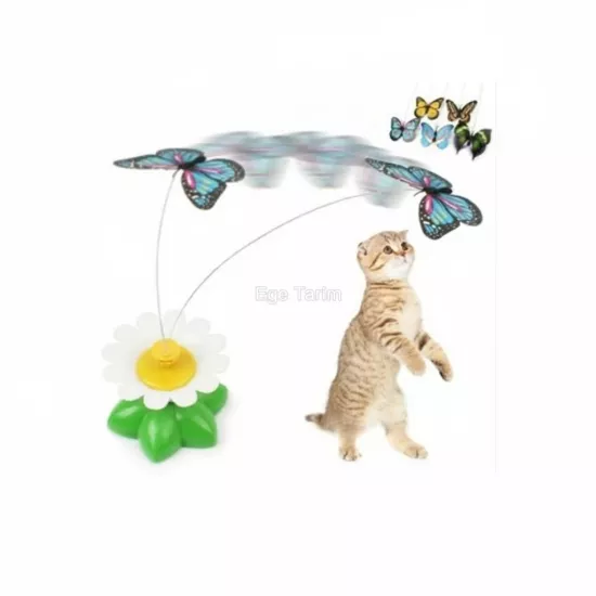Hareketli Pilli Kelebek Kedi Oyuncağı Dönen