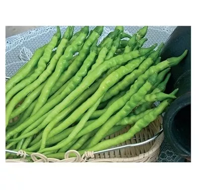 Agribal Kıl Acı Biber Tohumu 