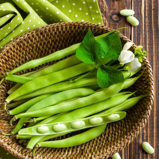 Asena Fasulye Tohumu (Bodur - Kılçıksız)