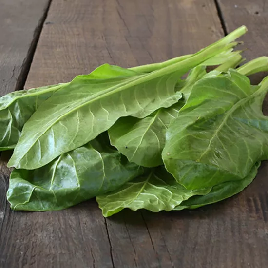 Geniş Yapraklı Pazı Tohumu