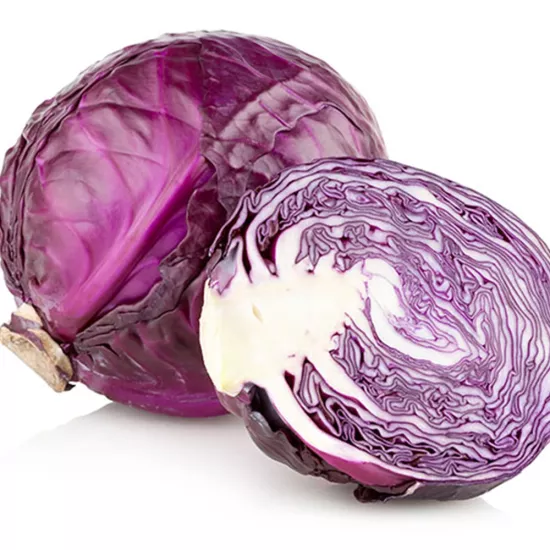 Kırmızı Lahana Tohumu (Mor Lahana - Sıkı Baş)