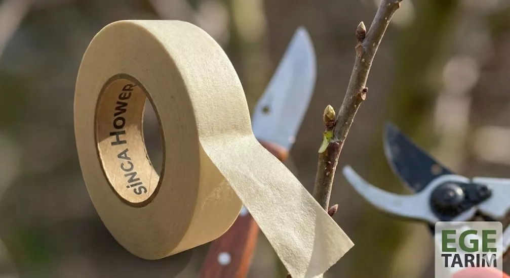 Sica Hower 1 Cm x 50 Metre Kağıt Aşı Bandı 
