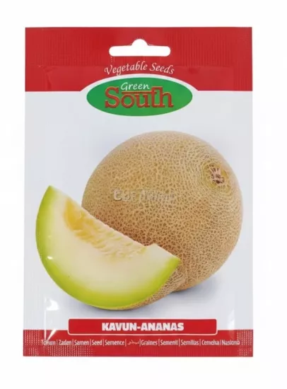 Green South Ananas (Kokulu) Kavun Tohumu 