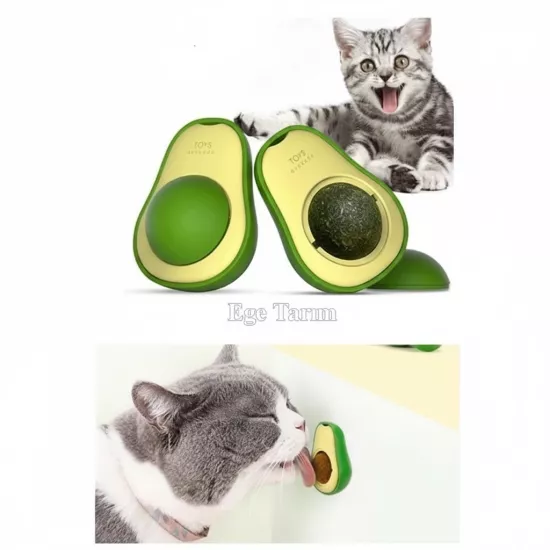 Avokado Kedi Yalama Topu Kedi Otu