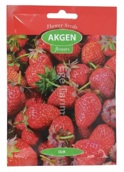 Akgen Çilek Tohumu 30 Adet - 