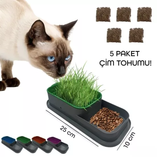 Topraksız Kedi Çimi Kabı 5 Paket Tohum Hediyeli
