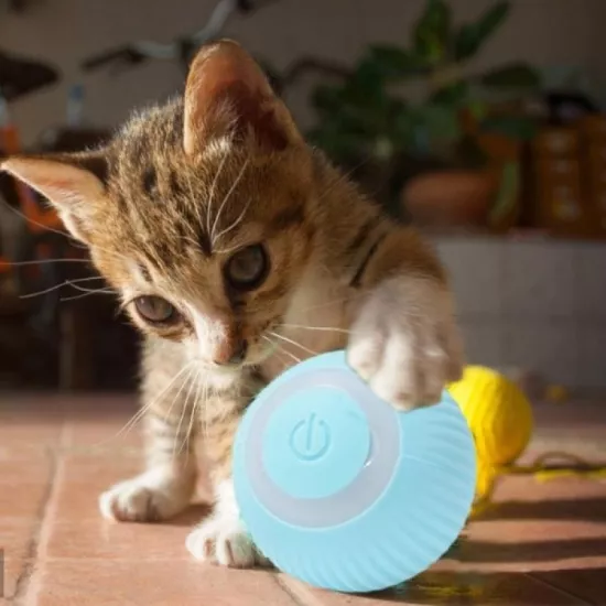 Otomatik Hareketli Şarjlı Kedi Köpek Oyun Topu