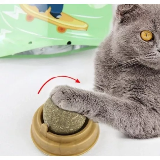 Dönen Kedi Nanesi Oyun Topu Duvara Yapışan Catnip