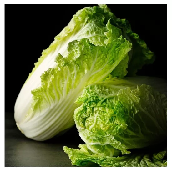 Green South Yedikule (Romaine) Marul Tohumu 