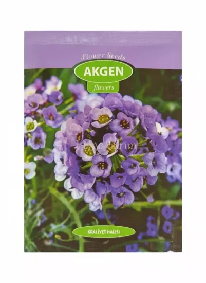 Kraliyet Halısı (Alyssum) Çiçek Tohumu 
