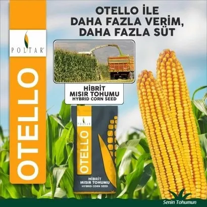 Otello slajlık Mısır Tohumu 4 paket