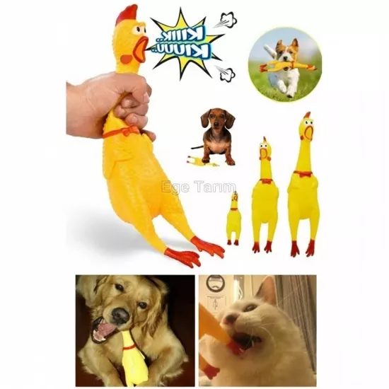 Ses Çıkaran Tavuk Oyuncak 16cm Kedi Köpek