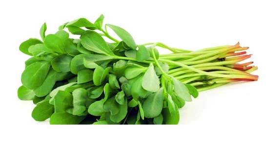 Green South Geniş Yapraklı Semizotu Tohumu 5 gr 