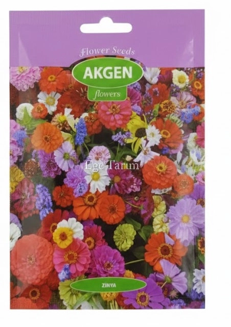 Zinya (Zinnia elegans) Çiçek Tohumu - Karışık Renk Kirli Hanım
