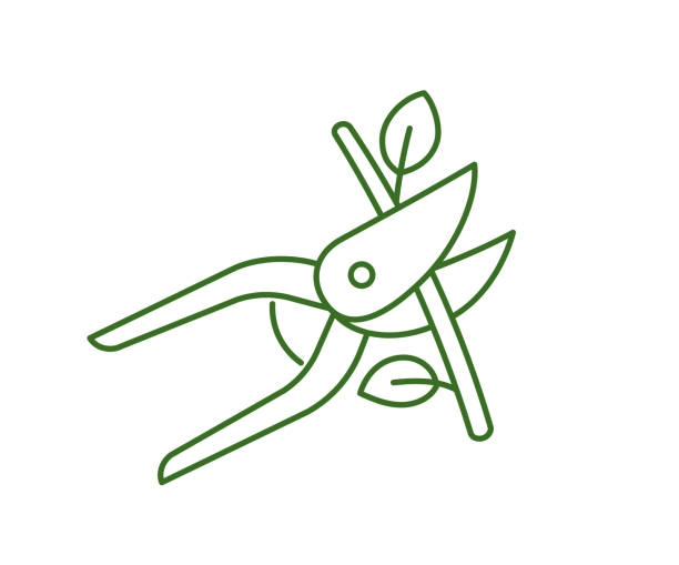 Aşı ve Budama Ürünleri