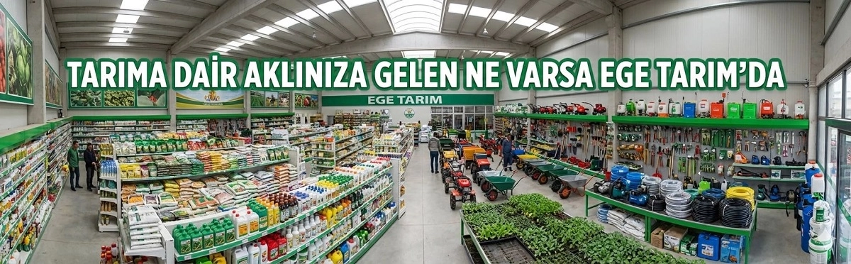 soğan tohumu pırasa tohumu